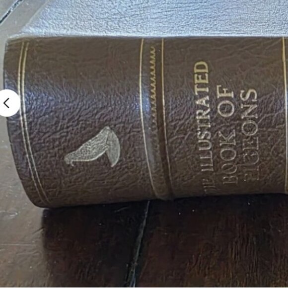 The Illustrated Book of Pigeons with Standards for Judging - Picture 2 of 5